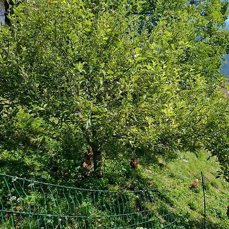 Charming Bella Hideout - Adults Only Apartman Jesenice