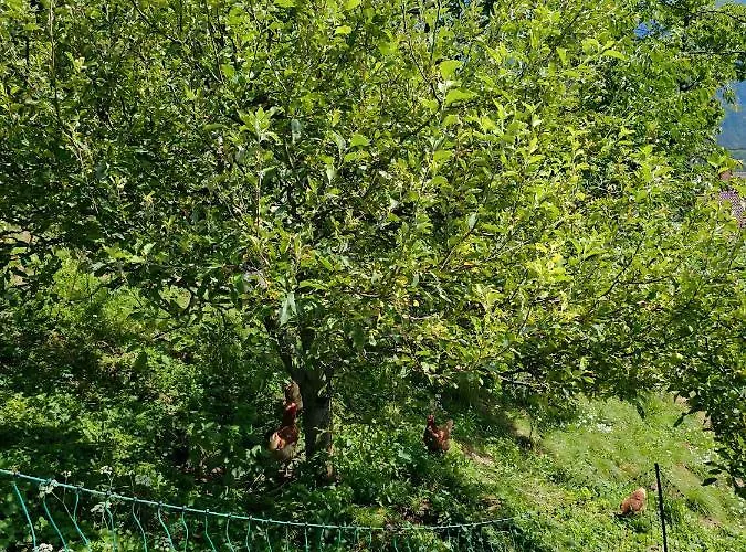 Charming Bella Hideout - Adults Only Apartament Jesenice