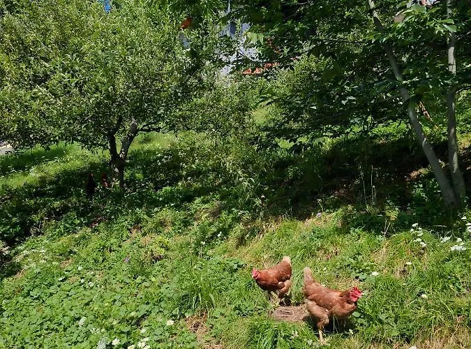 Lejlighed Charming Bella Hideout - Adults Only